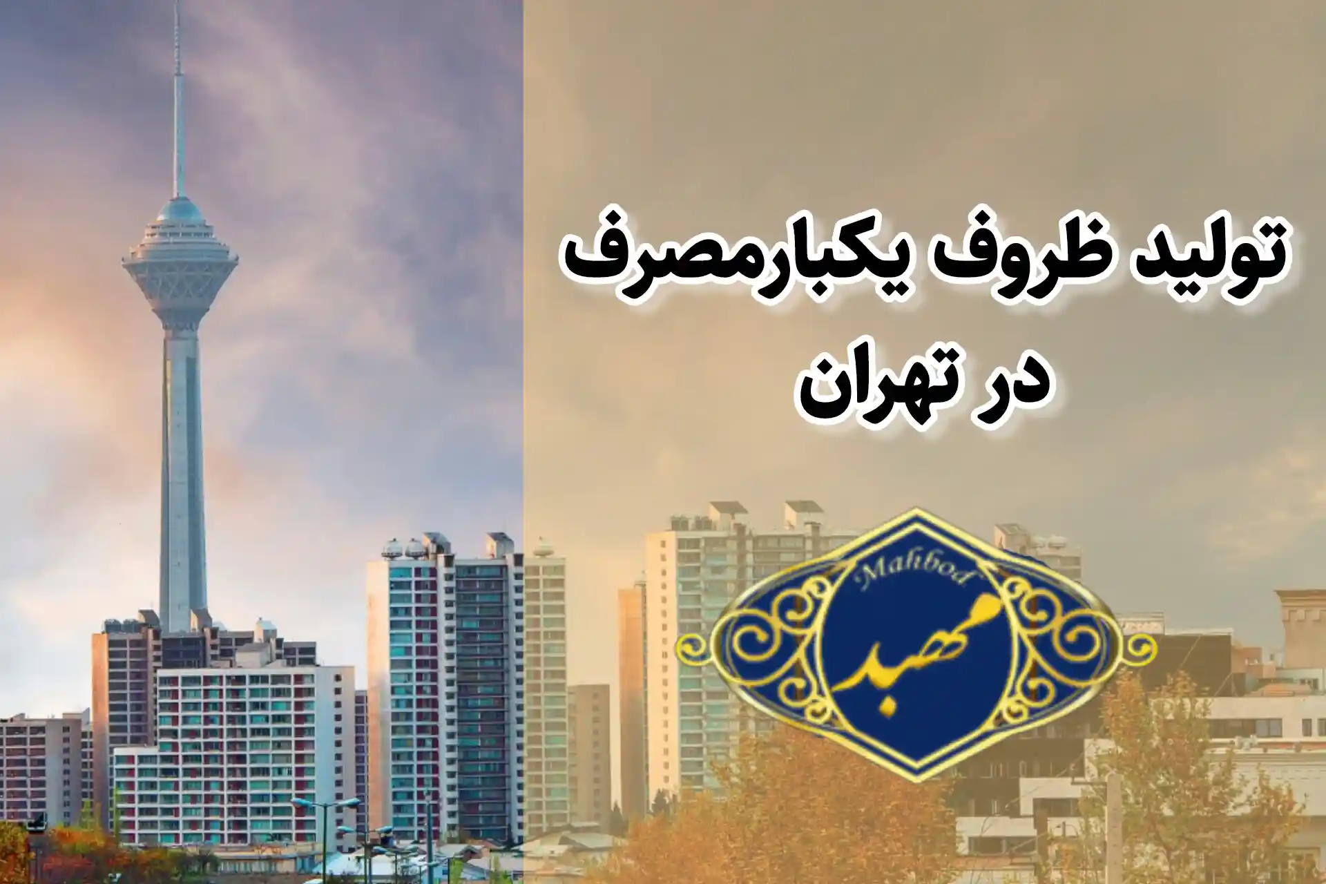 تولید ظروف یکبارمصرف در تهران